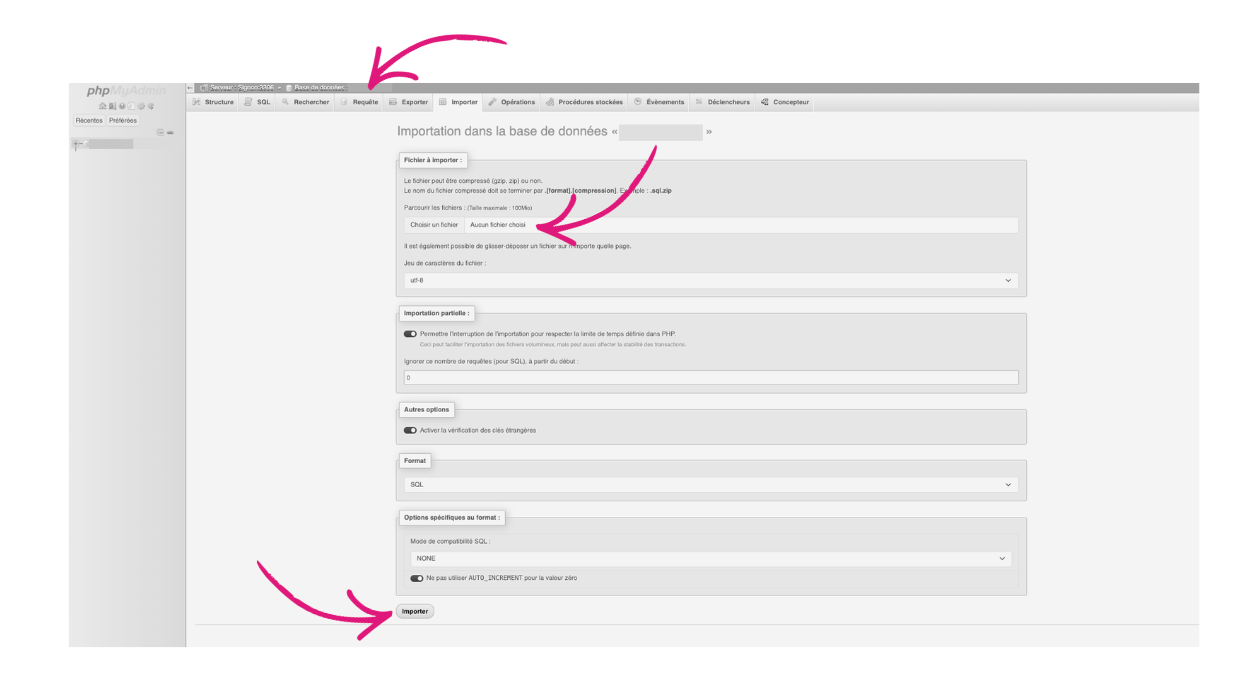 Importer une base de données (capture)